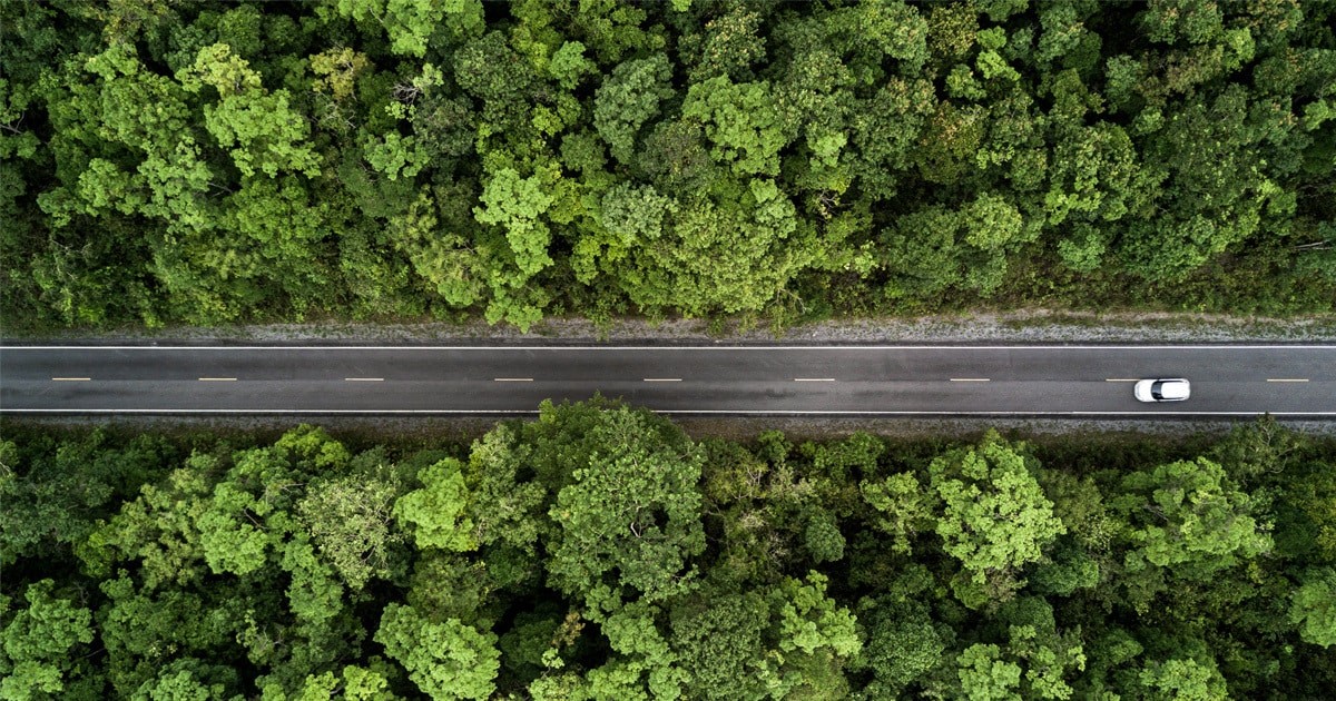 5 Tips to Make Your Road Trips Eco-friendly | TomTom Blog